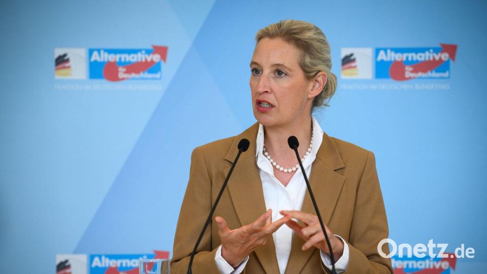 AfD-Chefin Weidel stellt das Schengen-Abkommen infrage. (Archivbild) Bild: Bernd von Jutrczenka/dpa
