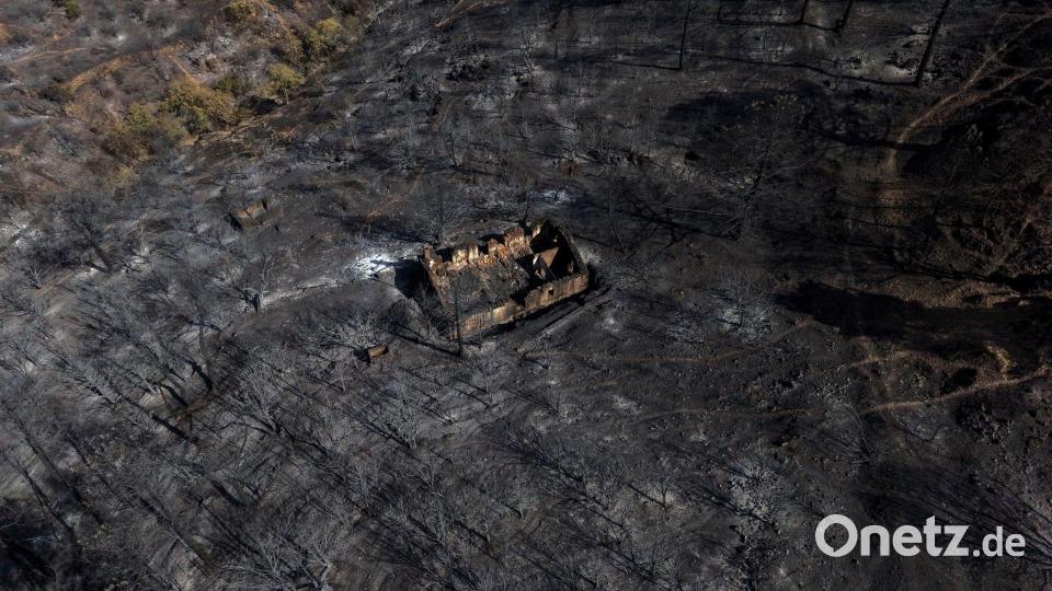 Ein Blick auf das von einem Waldbrand verwüstete Gebiet in El Tiemblo in der Provinz Ávila. Bild: Manu Fernandez/AP/dpa