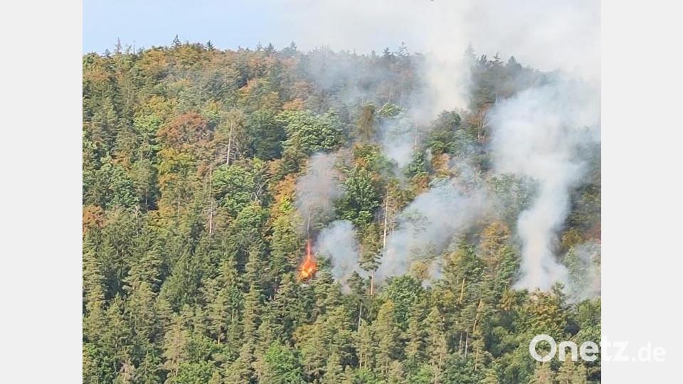 Waldbrand in Freudenberg auf der Südseite des Johannisbergs. Sogar von weitem sind die Flammen zu sehen. Bild: Barbara Gerl