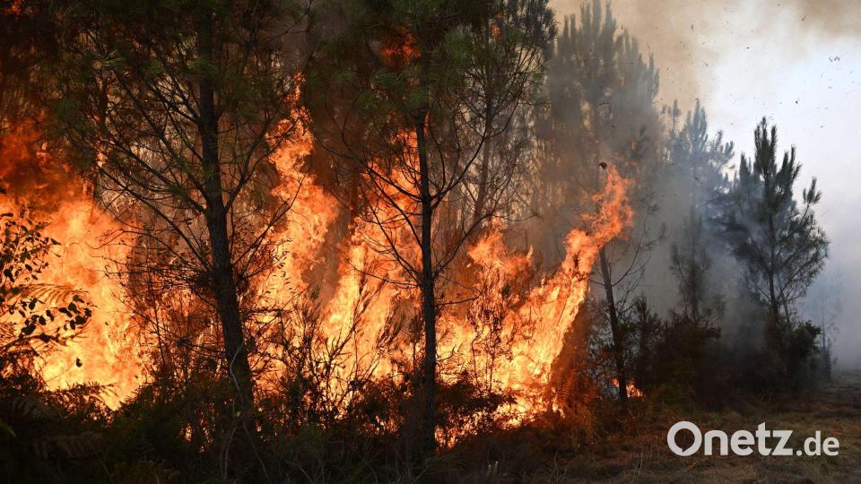 Der Klimawandel führt zu mehr Waldbränden. Gleichzeitig fachen die Emissionen der Feuer Bild: Emma Da Silva/AP/dpa