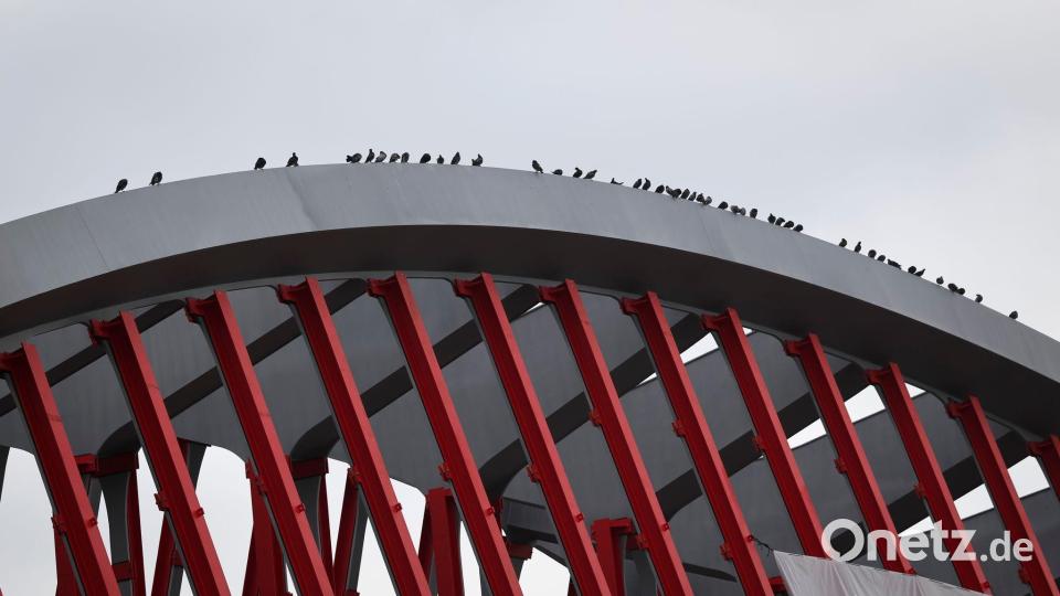 Auch die Tauben haben es sich schon gemütlich gemacht. Bild: Christian Charisius/dpa