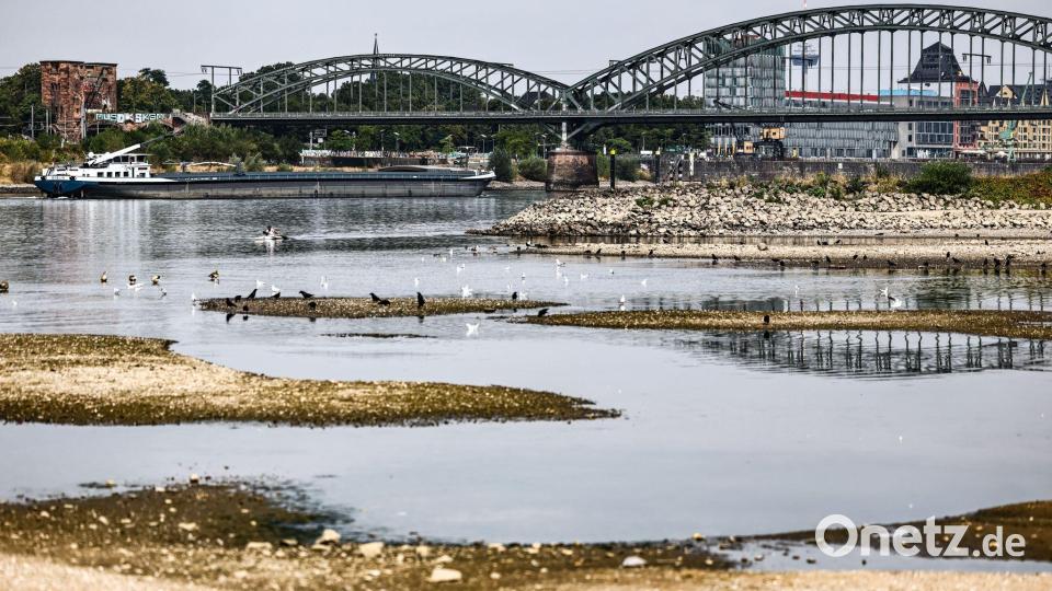 Der Rhein bei Köln Bild: Oliver Berg/dpa