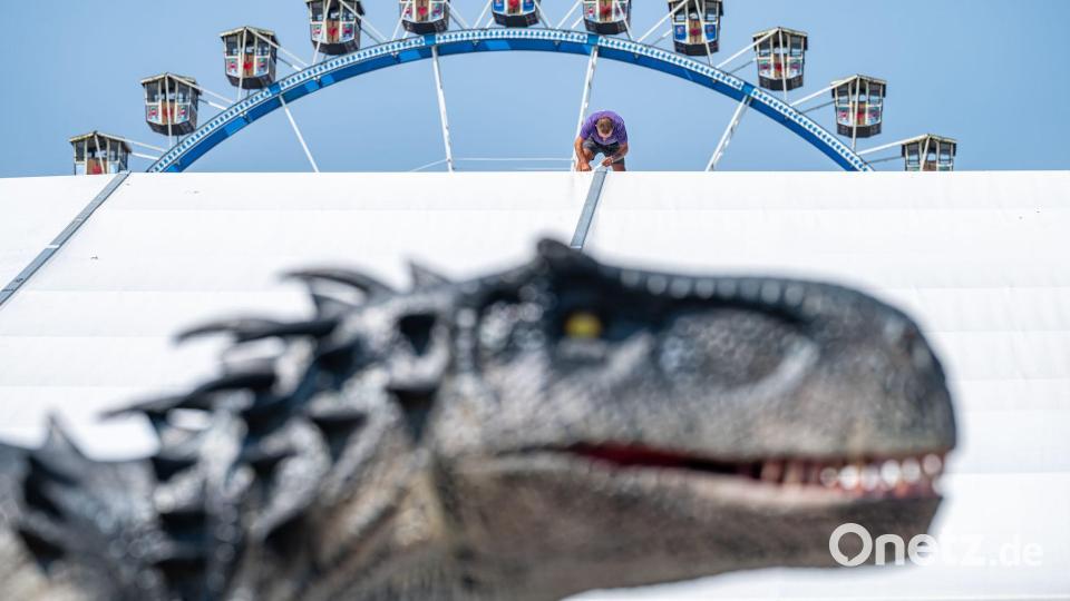 Zwischen Riesenrad und Dinosaurier - Volksfest wird aufgebaut Bild: Armin Weigel/dpa
