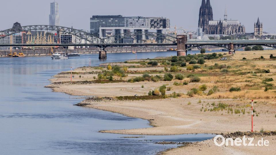 Blick auf Köln mit Sandbänken am Rhein. Bild: Rolf Vennenbernd/dpa