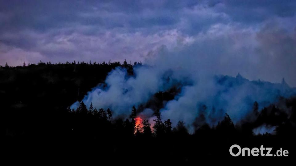 Bis zum Samstagmorgen hatten die Feuerwehren den Brand unter Kontrolle gebracht - die weiteren Löscharbeiten werden aber sicher noch lange andauern. Bild: Hermann Koch