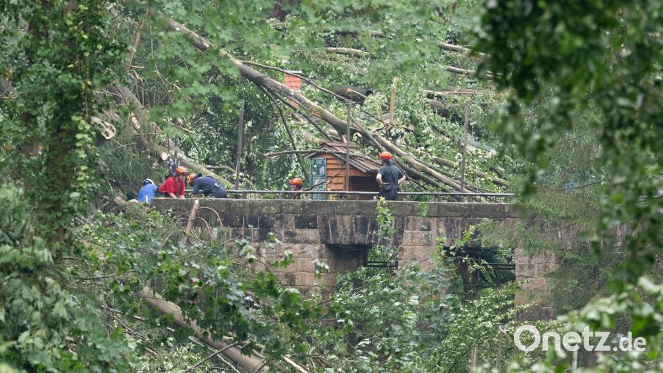Bei einem Unwetter stürzten zalhreiche Bäume um. Bild: Sebastian Kahnert/dpa