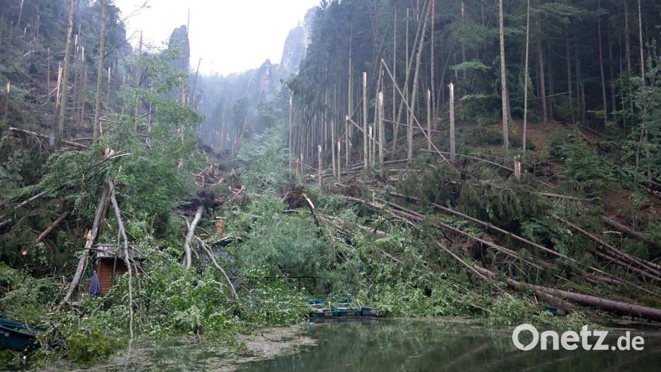 Das Unwetter schlug eine Schneise der Verwüstung. Bild: Sebastian Kahnert/dpa