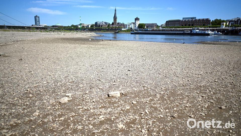 Ein Schiff fährt in Düsseldorf bei niedrigem Wasserstand auf dem Rhein. (Archivbild) Bild: Federico Gambarini/dpa