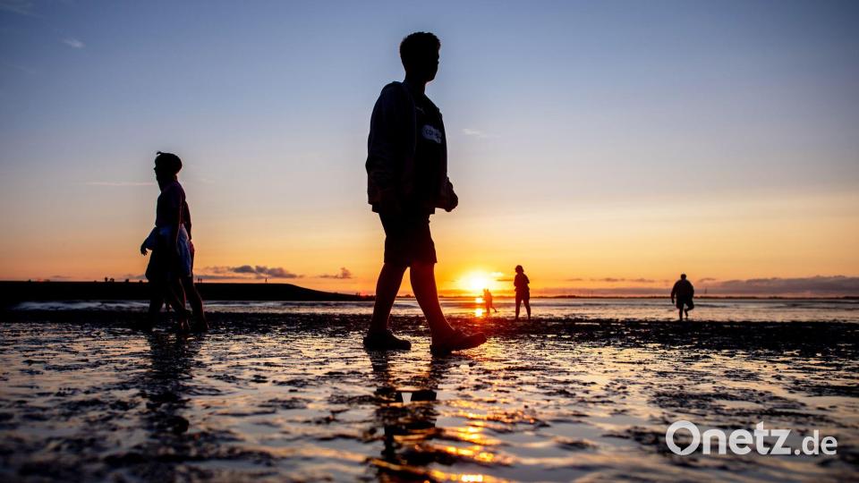 Menschen gehen beim Watt en Schlick Festival am Strand von Dangast bei Sonnenuntergang durch das Watt. Bild: Hauke-Christian Dittrich/dpa