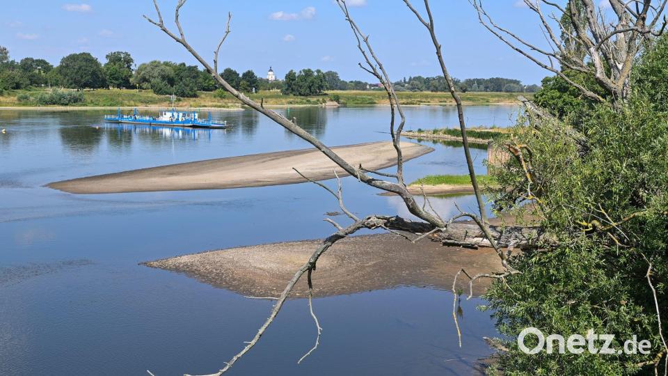 Eine Fähre quert die Elbe in Sachsen-Anhalt. (Archivbild) Bild: Klaus-Dietmar Gabbert/dpa