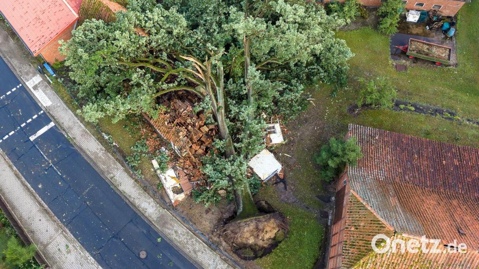 Ein Baum liegt nach einem Unwetter mit starken Stürmböen umgestürzt im Landkreis Lüneburg Bild: René Schröder/News5/dpa