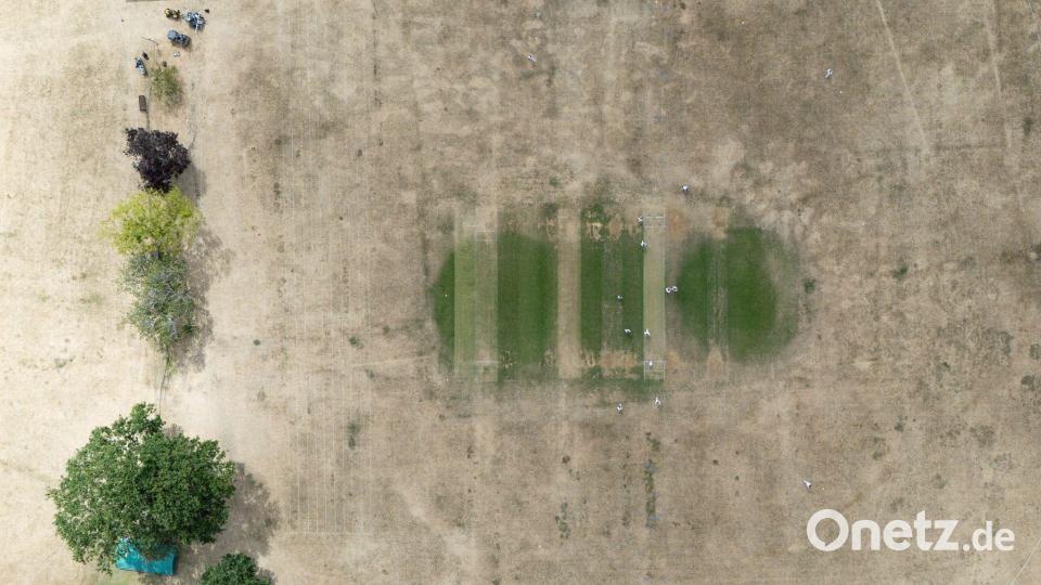 Cricket-Spiel trotz Trockenheit Bild: Jacob King/PA Wire/dpa