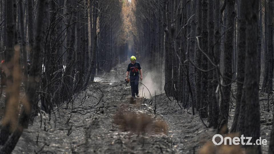 Ein Feuerwehrmann geht während der Waldbrände im Südwesten Frankreichs durch einen verkohlten Wald in der Nähe von Blagon. Bild: Baz Ratner/AP/dpa