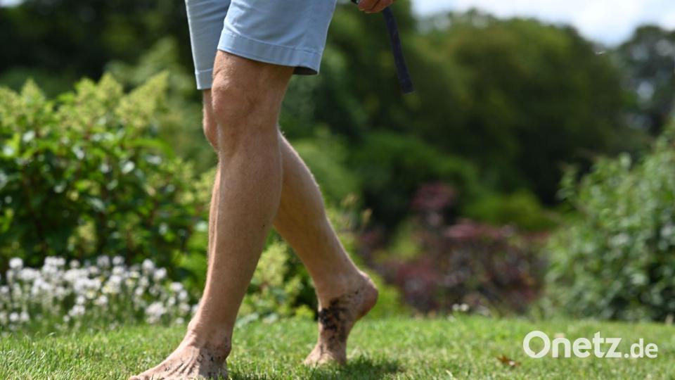 Wer im Sommer barfuß über eine Wiese geht, könnte später einen Juckreiz am Körper spüren. (Symbolbild) Bild: Lars Penning/dpa