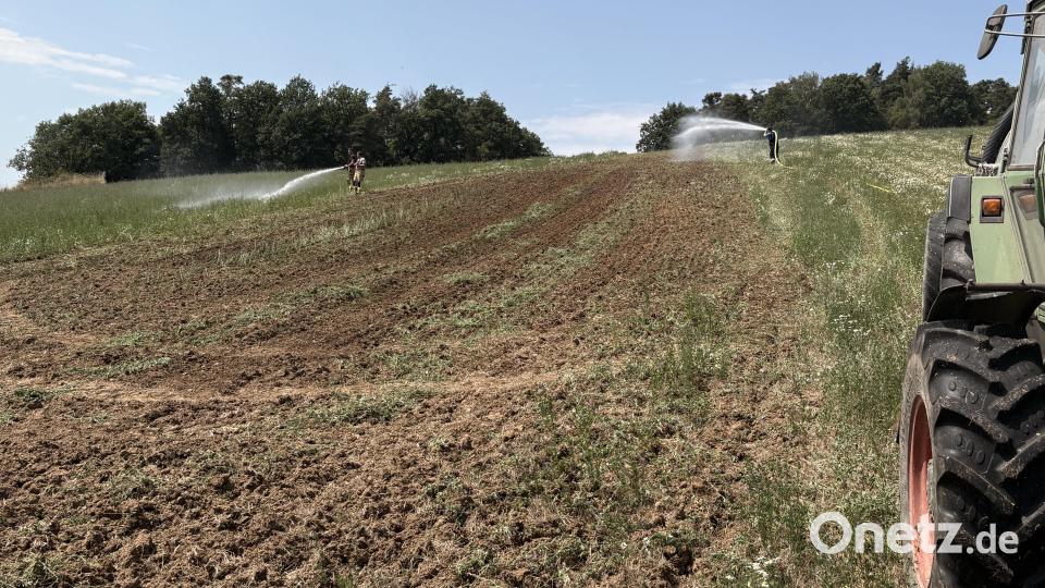 Die Feuerwehren sprühten vorsorglich noch Wasser über die gelöschte Brandfläche Bild: Lukas Büchold