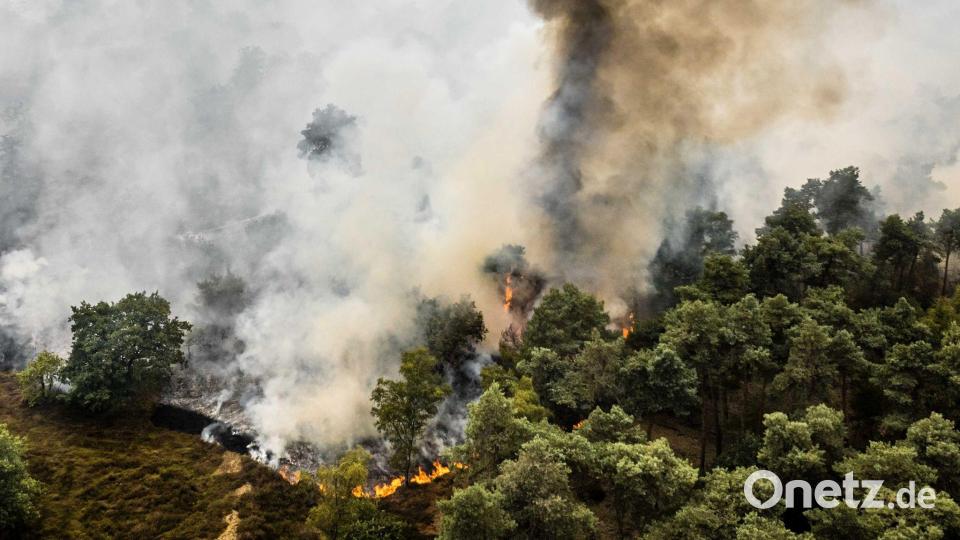Nach anhaltender Trockenheit breiten sich die Flammen im Naturschutzgebiet De Rosmolen schnell aus. Bild: Rob Engelaar/ANP/dpa