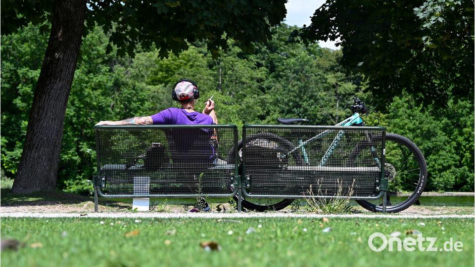 Bis zu 38 Grad erwartet der Deutsche Wetterdienst (DWD) in der nächsten Woche (Archivbild). Bild: Florian Diettrich/dpa