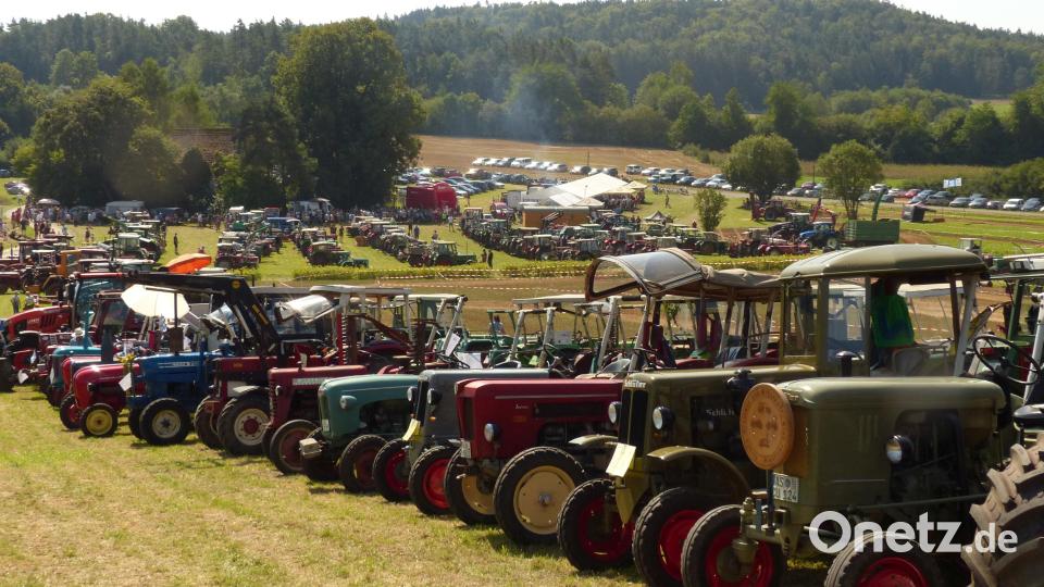 Da schlägt das Herz jedes Fans alter Traktoren höher, wenn sich die betagten "Schätzchen" am Hang in Neukirchen aufreihen. Archivbild: Heidi Franitza