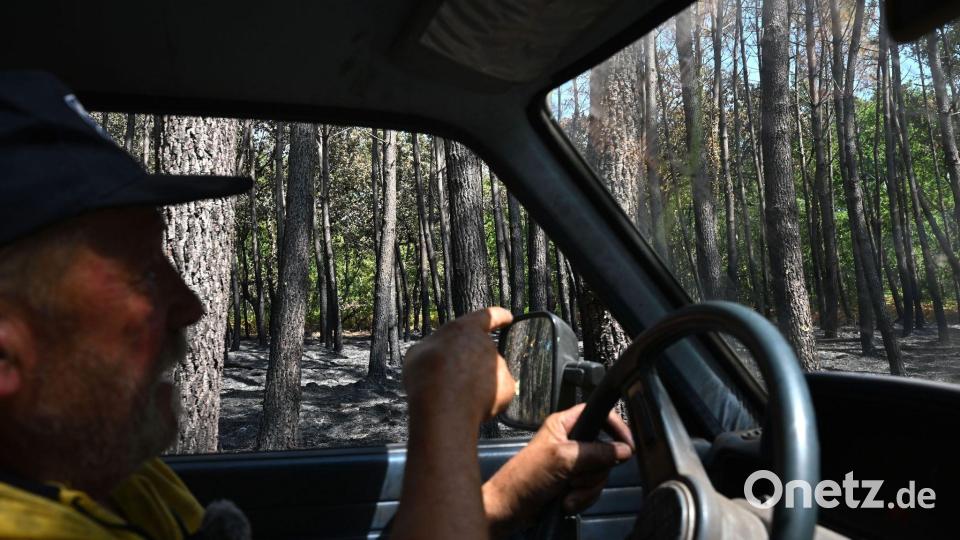 Ein Großteil seines Landes ist verbrannt, erzählt Waldbauer Monchaux. Bild: Katharina Kausche/dpa