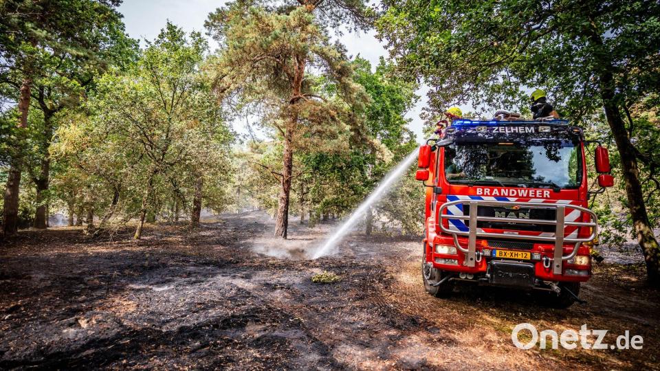 Die niederländische Feuerwehr löscht eine Brand in den Wäldern im Naturschutzgebiet. Bild: Roland Heitink/Persbureau Heitink /dpa