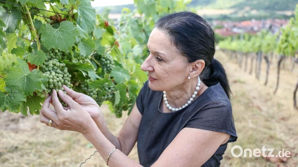 Winzermeisterin Elke Röder setzt seit Jahrzehnten auf alkoholfreien Wein. (Archivbild) Bild: Daniel Löb/dpa