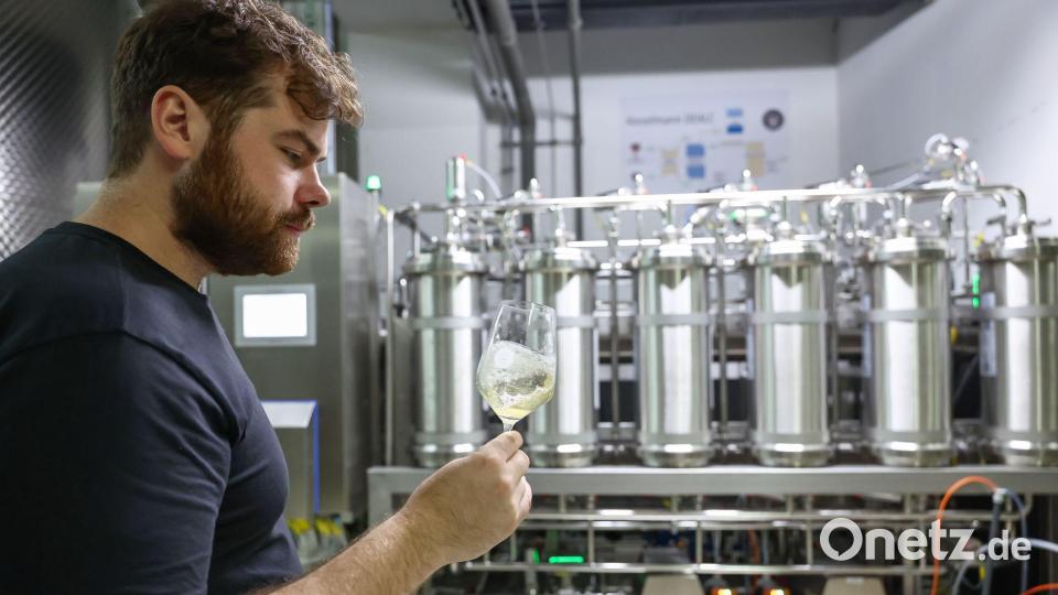 Kilian Scheuring tastet sich an alkoholfreien Wein heran. (Archivbild) Bild: Daniel Löb/dpa