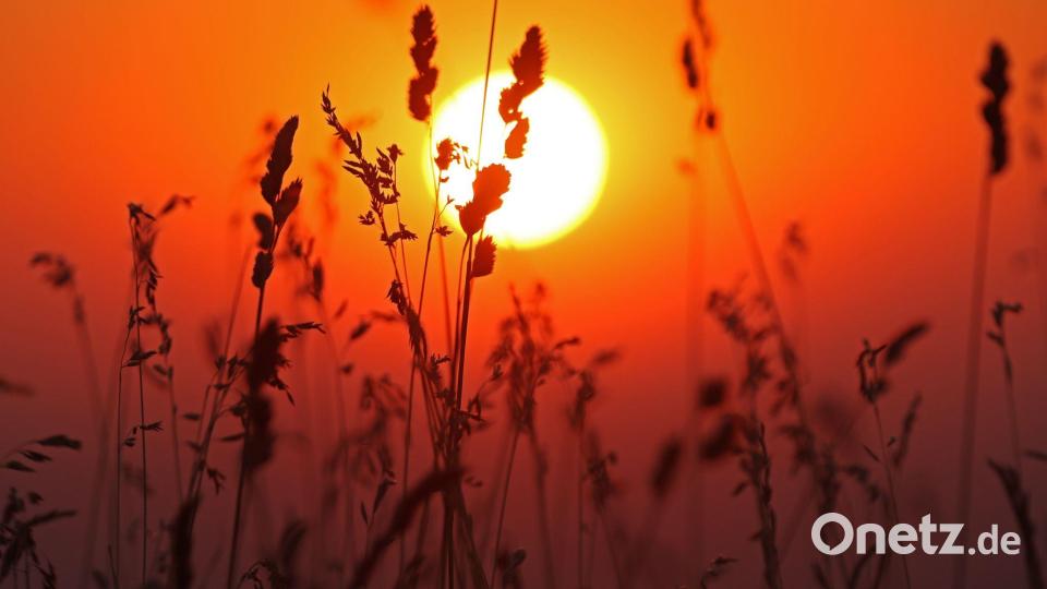 Bevor der Wetterumschwung kommt, soll es noch einmal heiß werden. Bild: Matthias Bein/dpa