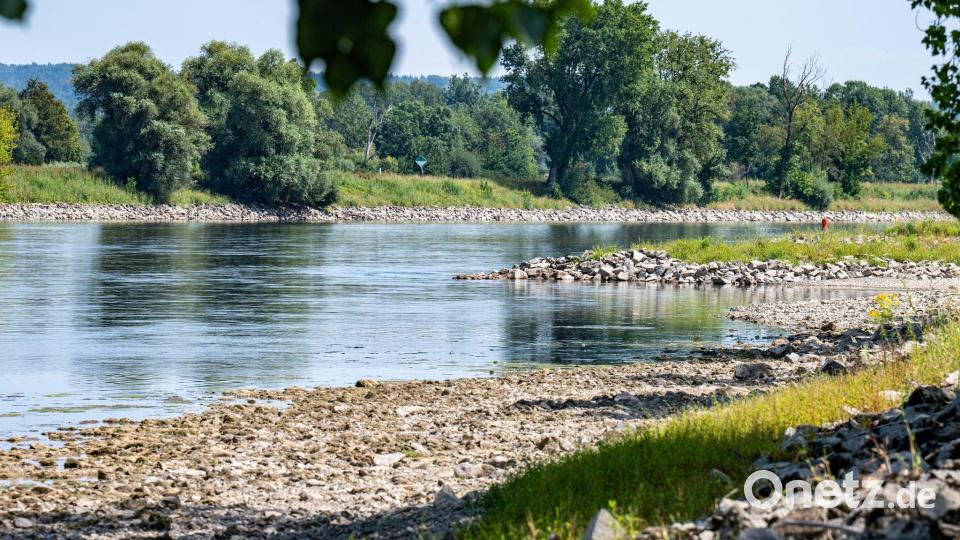 Die Donau führt Niedrigwasser. Bild: Armin Weigel/dpa