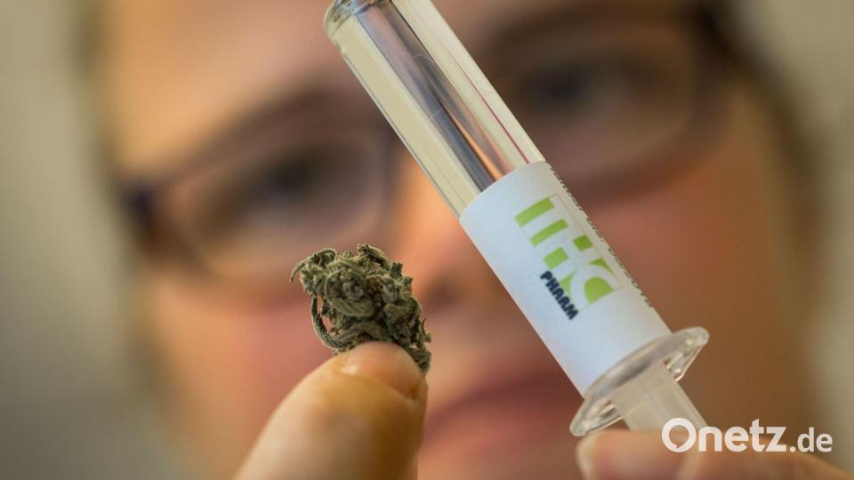Dronabinol (rechts) wird aus der Hanfpflanze gewonnen. Es enthält den Wirkstoff THC. (Archivbild) Bild: picture alliance / dpa