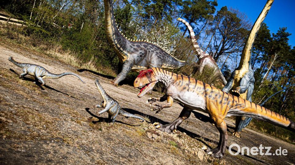 Dinosaurier konnten viele Tonnen schwer werden - aber offenbar nicht so klein, dass sie nur ein paar Gramm wogen. (Archivbild) Bild: Moritz Frankenberg/dpa
