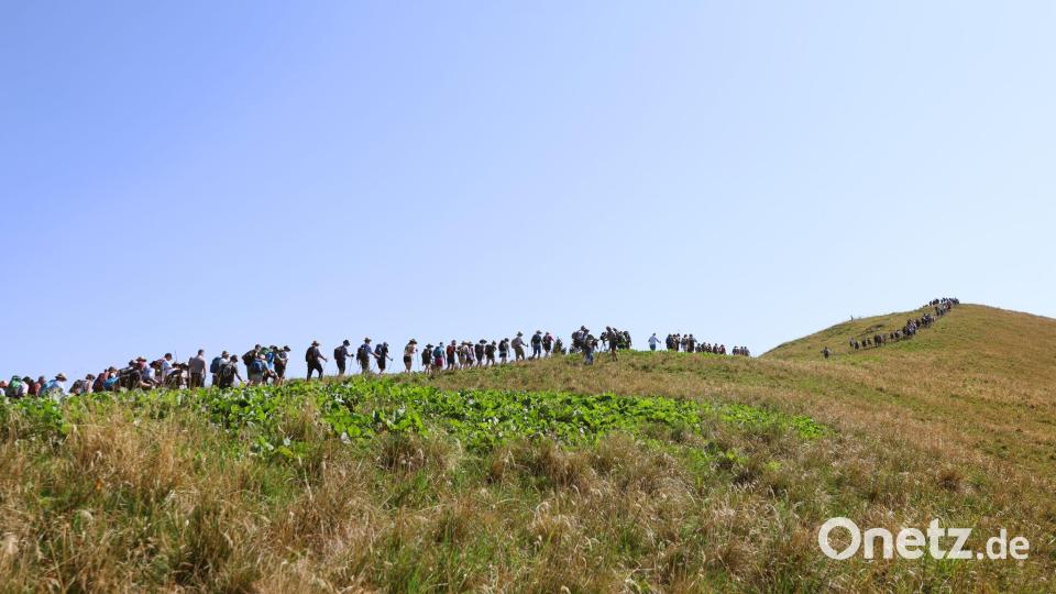 In einer Reihe: Teilnehmer der Hauptalmbegehung des Almwirtschaftlichen Vereins Oberbayern wandern auf dem Schönberg. Bild: Karl-Josef Hildenbrand/dpa