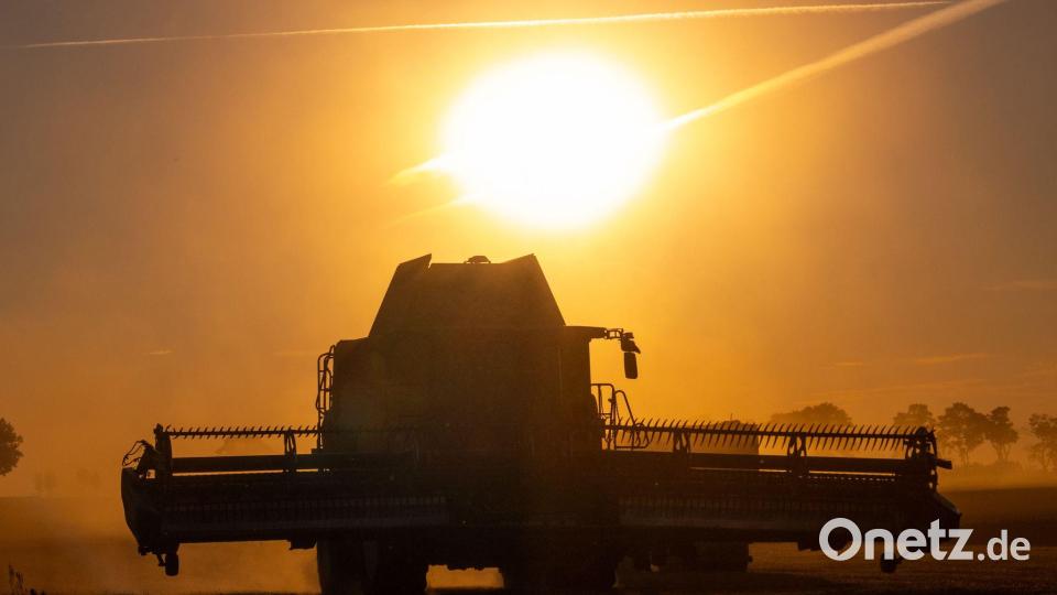 Die Getreideernte hält derzeit noch an. (Symbolbild) Bild: Georg-Friedrich Moritz/dpa