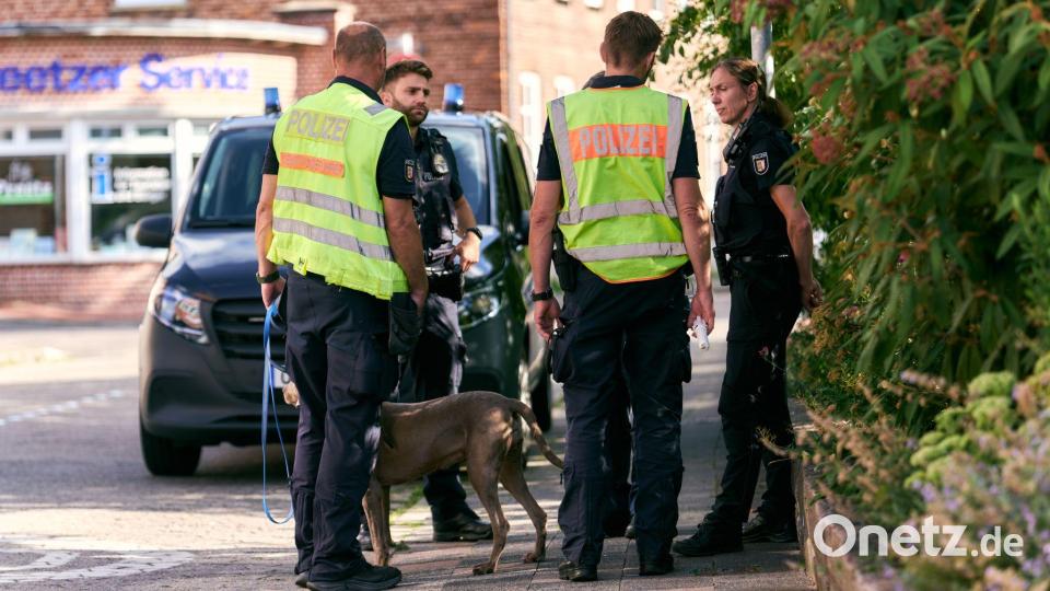 Zahlreiche Einsatzkräfte und auch Hunde waren an der Suche beteiligt. Bild: Marcus Golejewski/dpa