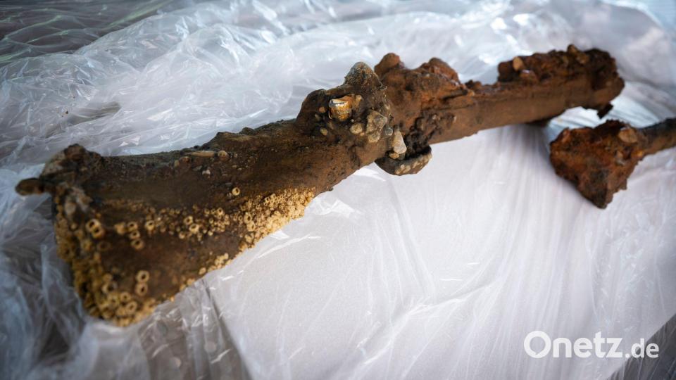 Zur Bewaffnung der Soldaten im Nordischen Krieg von 1700 bis 1721 gehörten Musketen. Bild: Philip Dulian/dpa