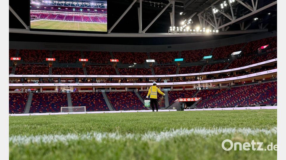 Der Rasen für das Testspiel wird vorbereitet Bild: Christian Kunz/dpa