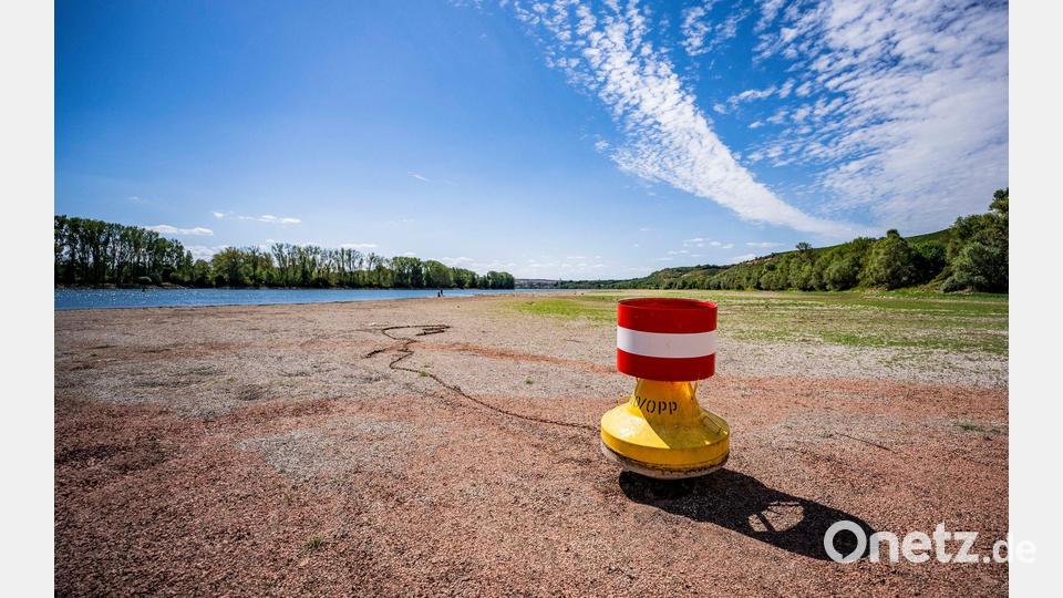 Niedrigwasser am Rhein: Eine Tonne für die Schifffahrt liegt bei Nierstein auf dem Trockenen. Bild: Andreas Arnold/dpa