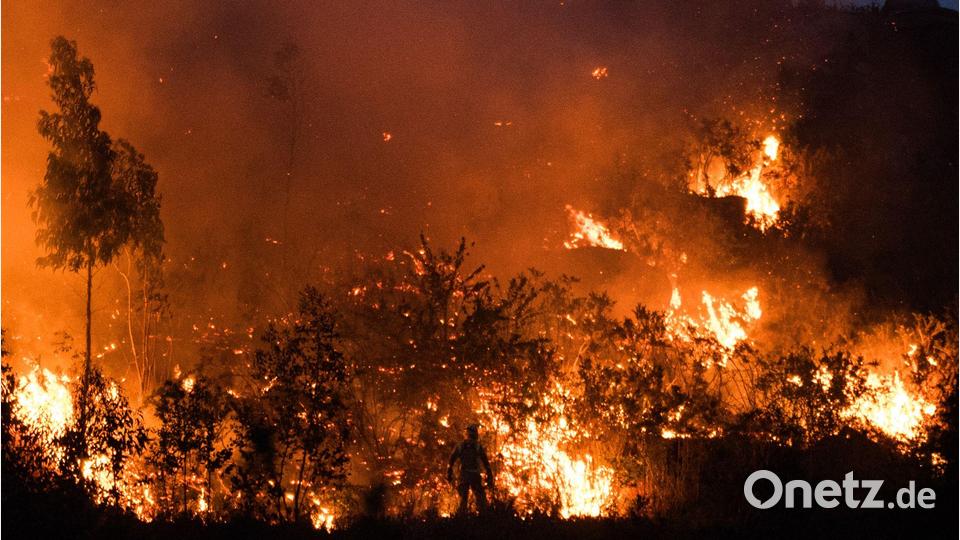 Die spanischen Behörden sind wegen der Waldbrandgefahr durch zehntausende Touristen in ländlichen Gebieten während der Sonnenfinsternis am kommenden Mittwoch in höchster Alarmbereitschaft. Bild: Elena Fernández/EUROPA PRESS/dpa