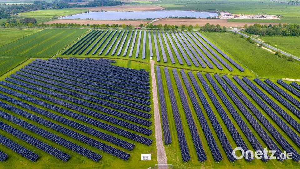 Die Grünen erwarten, dass der Ausbau von Erneuerbaren und Speichern die Energiepreise drückt. (Archivbild) Bild: Sina Schuldt/dpa