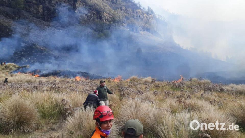 Waldbrände am Bromo sind in Dürrezeiten keine Seltenheit. Bild: -/BNPB/dpa