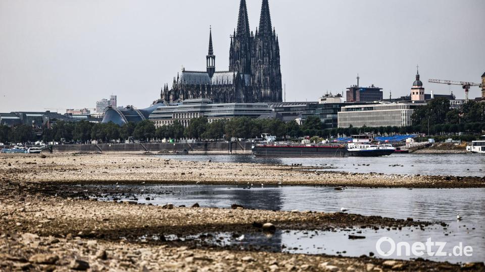 In Köln wurde zuletzt ein Rekord-Niedrigwasser im Rhein gemessen (Archivbild) Bild: Oliver Berg/dpa