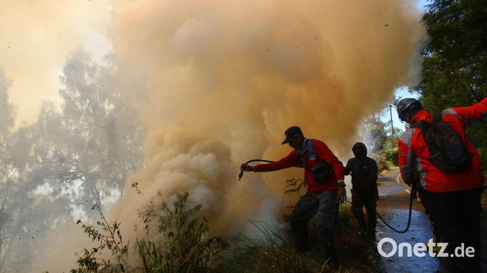 Der Brand war am Montag ausgebrochen. Bild: JNA via ZUMA Press Wire/dpa