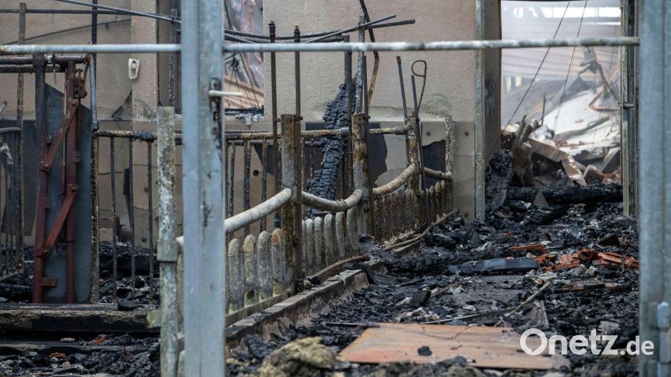 Am Morgen bot sich ein Bild der Verwüstung. Bild: Stefan Puchner/dpa