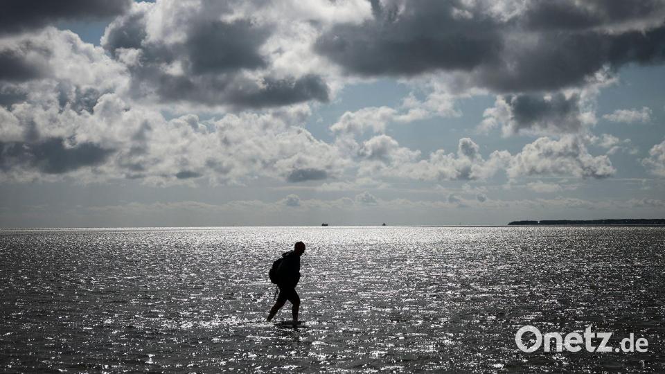 Tobias Goldschmidt (Bündnis 90/ Die Grünen), Umweltminister von Schleswig-Holstein, geht bei einer Wattwanderung der Nationalparkverwaltung von Dagebüll auf die Hallig Oland durch das auflaufende Wasser zurück nach Dagebüll. Bild: Christian Charisius/dpa
