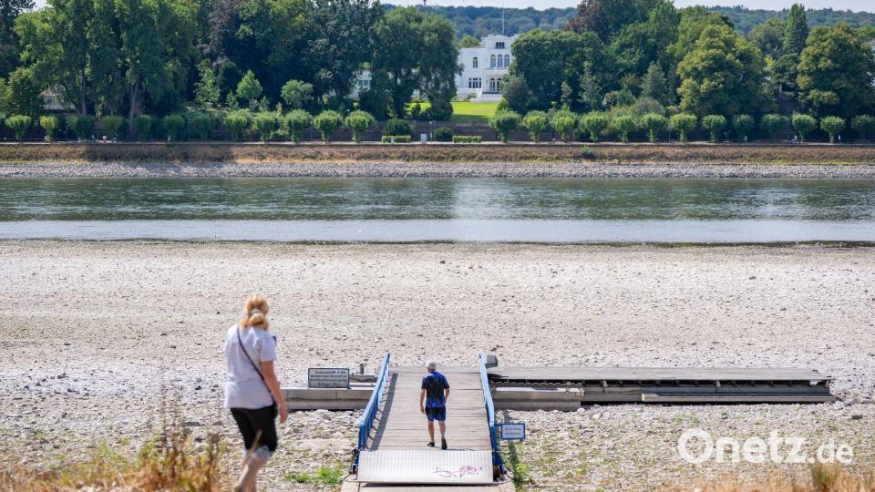 Niedrigwasser im Rhein in Bonn. Die Grünen fordern „intakte Flüsse als Priorität“. Bild: Benjamin Westhoff/dpa