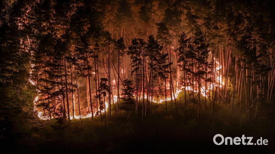Luftaufnahmen zeigen einen Waldbrand am Gardasee. Bild: Jason Tschepljakow/dpa