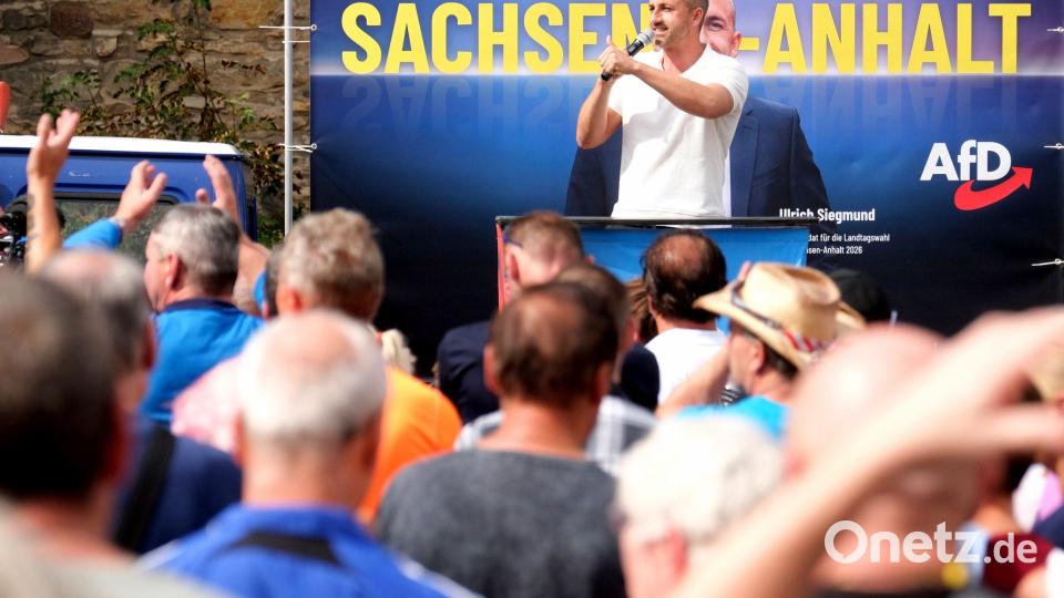 Ein AfD-Triumph in Sachsen-Anhalt würde Schockwellen auch nach Berlin senden. (Archivbild) Bild: Sebastian Willnow/dpa