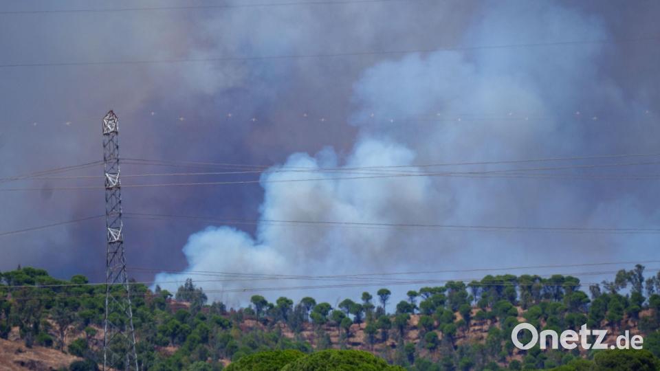 Spanien erlebt eine besonders heftige Waldbrandsaison. Bild: Francisco J. Olmo/EUROPA PRESS/dpa