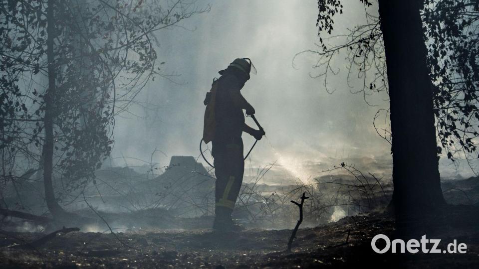 Feuerwehrleute kämpfen gegen einen Waldbrand in Hessen knapp vor der bayerischen Grenze. Bild: Andreas Arnold/dpa