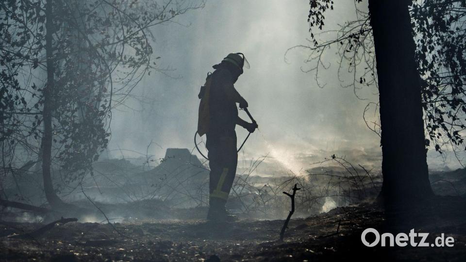 Ein Feuerwehrmann ist mit Löscharbeiten in einem Waldstück bei Rodenbach beschäftigt. Bild: Andreas Arnold/dpa