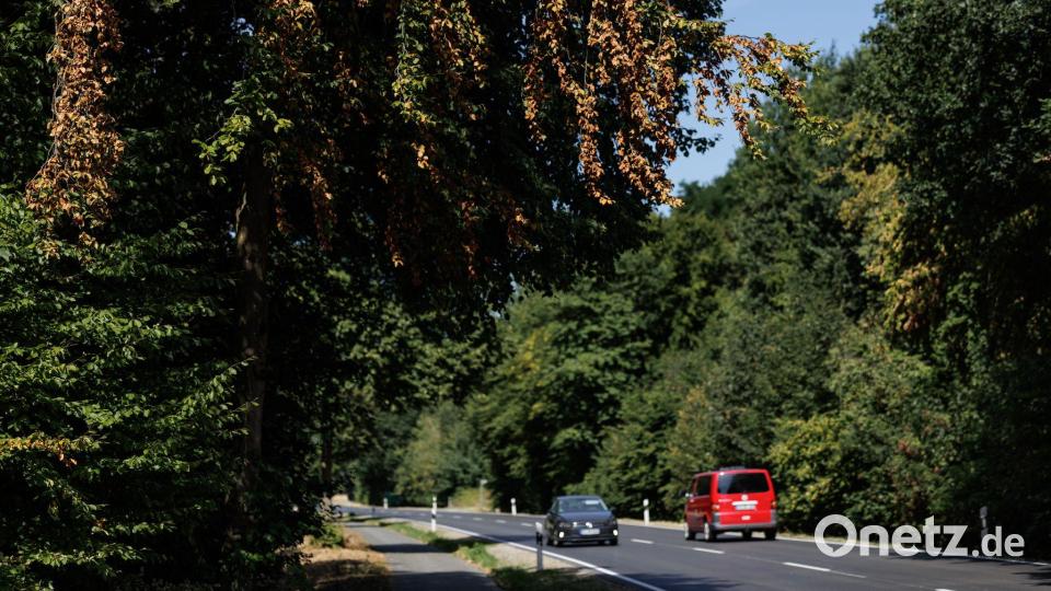 Wer in diesen Wochen draußen unterwegs ist, wähnt sich vielerorts bereits im Herbst. Bild: David Ebener/dpa